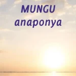 MUNGU anaponya 